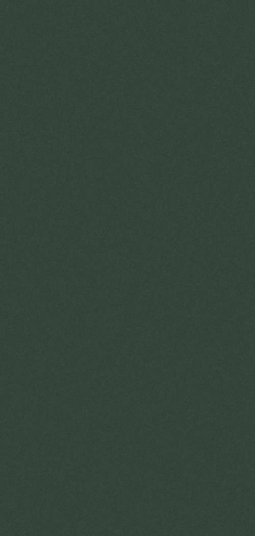RAL 6005 FS – Farbmuster
