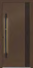 Haustürmodell B110