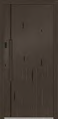 Haustürmodell B295